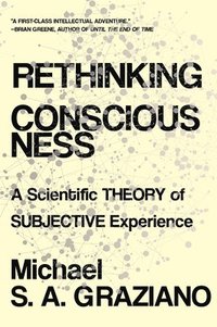 bokomslag Rethinking Consciousness