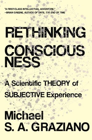 bokomslag Rethinking Consciousness