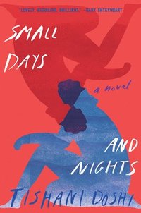 bokomslag Small Days And Nights - A Novel