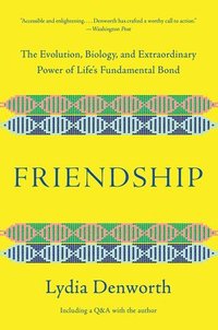 bokomslag Friendship - The Evolution, Biology, and Extraordinary Power of Life`s Fundamental Bond