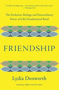 bokomslag Friendship - The Evolution, Biology, And Extraordinary Power Of Life`s Fundamental Bond