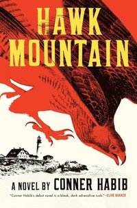 bokomslag Hawk Mountain - A Novel