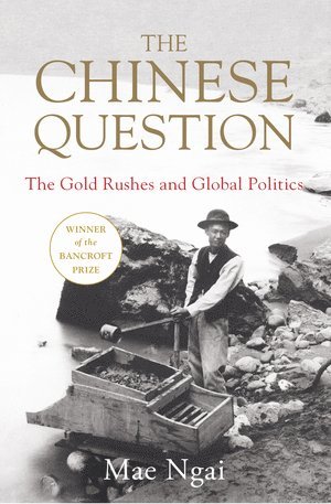 Mae Ngai, Mae (Columbia University) Ngai - Chinese Question, Inbunden