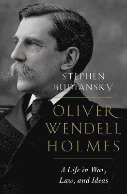 bokomslag Oliver Wendell Holmes