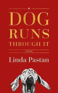 bokomslag A Dog Runs Through It: Poems