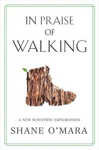 bokomslag In Praise Of Walking - A New Scientific Exploration
