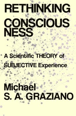 bokomslag Rethinking Consciousness