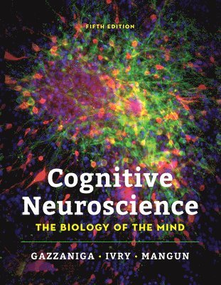Cognitive Neuroscience 1
