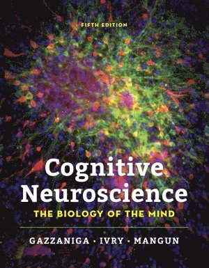 Cognitive Neuroscience 1