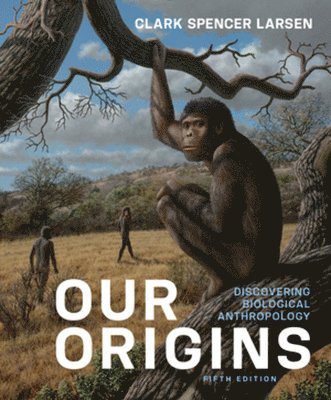 Our Origins 1