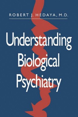 bokomslag Understanding Biological Psychiatry