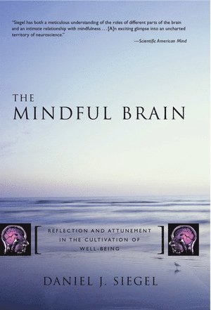 The Mindful Brain 1