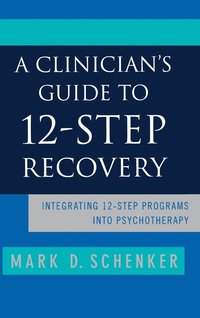 bokomslag A Clinician's Guide to 12-step Recovery