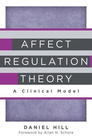 bokomslag Affect Regulation Theory