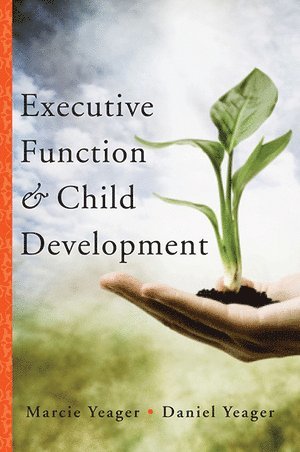 bokomslag Executive Function & Child Development