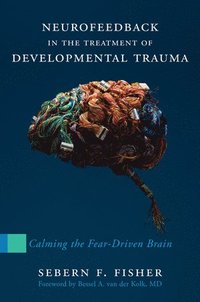 bokomslag Neurofeedback in the Treatment of Developmental Trauma