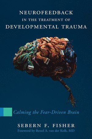 bokomslag Neurofeedback in the Treatment of Developmental Trauma