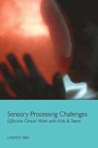 bokomslag Sensory Processing Challenges