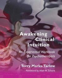 bokomslag Awakening Clinical Intuition