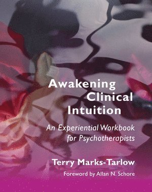 bokomslag Awakening Clinical Intuition