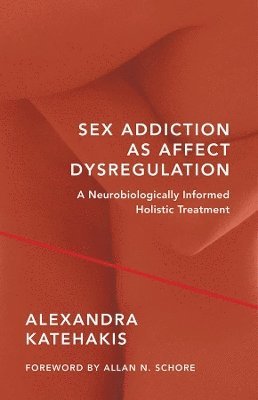 bokomslag Sex Addiction as Affect Dysregulation