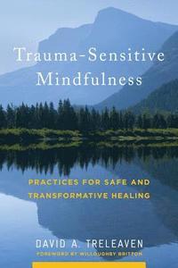 bokomslag Trauma-Sensitive Mindfulness