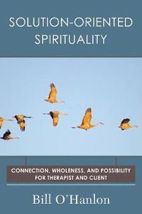 bokomslag Solution-Oriented Spirituality