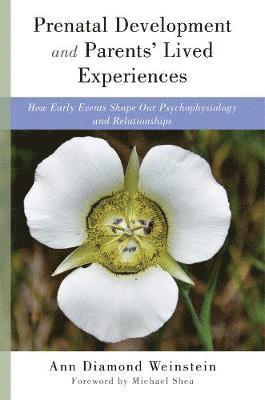 Ann Diamond Weinstein - Prenatal Development and Parents' Lived Experiences, Inbunden