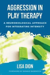 bokomslag Aggression in Play Therapy