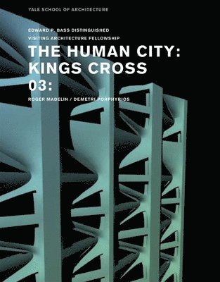 bokomslag The Human City