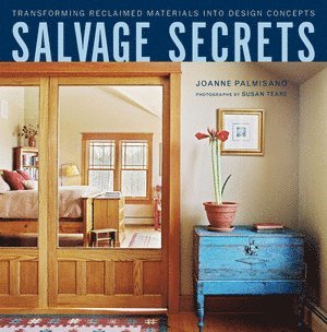 bokomslag Salvage Secrets