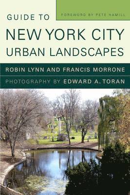 Guide to New York City Urban Landscapes 1