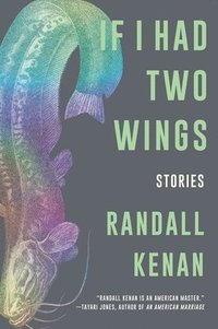 bokomslag If I Had Two Wings: Stories