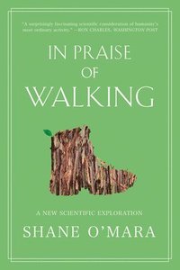 bokomslag In Praise of Walking