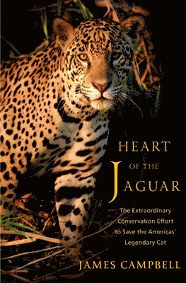 James Campbell - Heart of the Jaguar, Inbunden