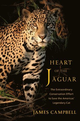 bokomslag Heart of the Jaguar