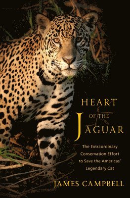 bokomslag Heart of the Jaguar: The Extraordinary Conservation Effort to Save the Americas' Legendary Cat