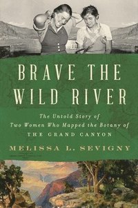 bokomslag Brave the Wild River
