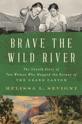 bokomslag Brave the Wild River
