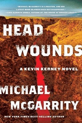 bokomslag Head Wounds