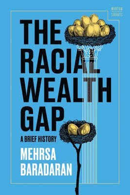 bokomslag Racial Wealth Gap
