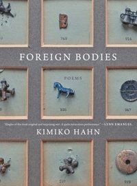 bokomslag Foreign Bodies