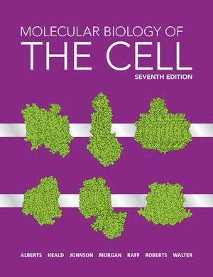 bokomslag Molecular Biology of the Cell