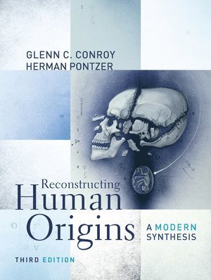 bokomslag Reconstructing Human Origins