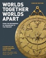 Worlds Together, Worlds Apart 1