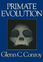 bokomslag Primate Evolution