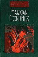 bokomslag Marxian Economics