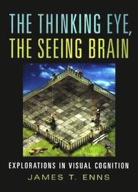 bokomslag The Thinking Eye, the Seeing Brain