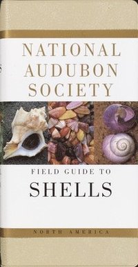 bokomslag The Audubon Society Field Guide to North American Seashells