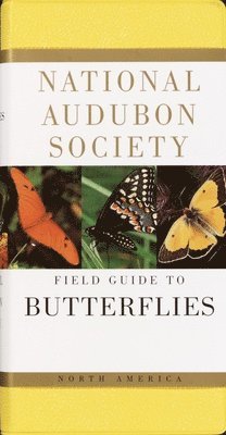 bokomslag The Audubon Society Field Guide to North American Butterflies